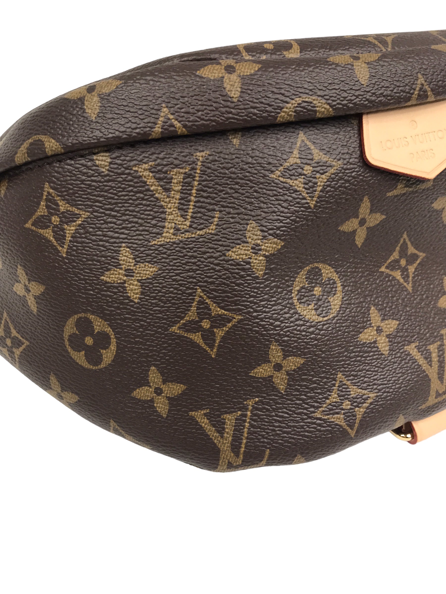 Coated Canvas Monogram Bumbag w/GHW