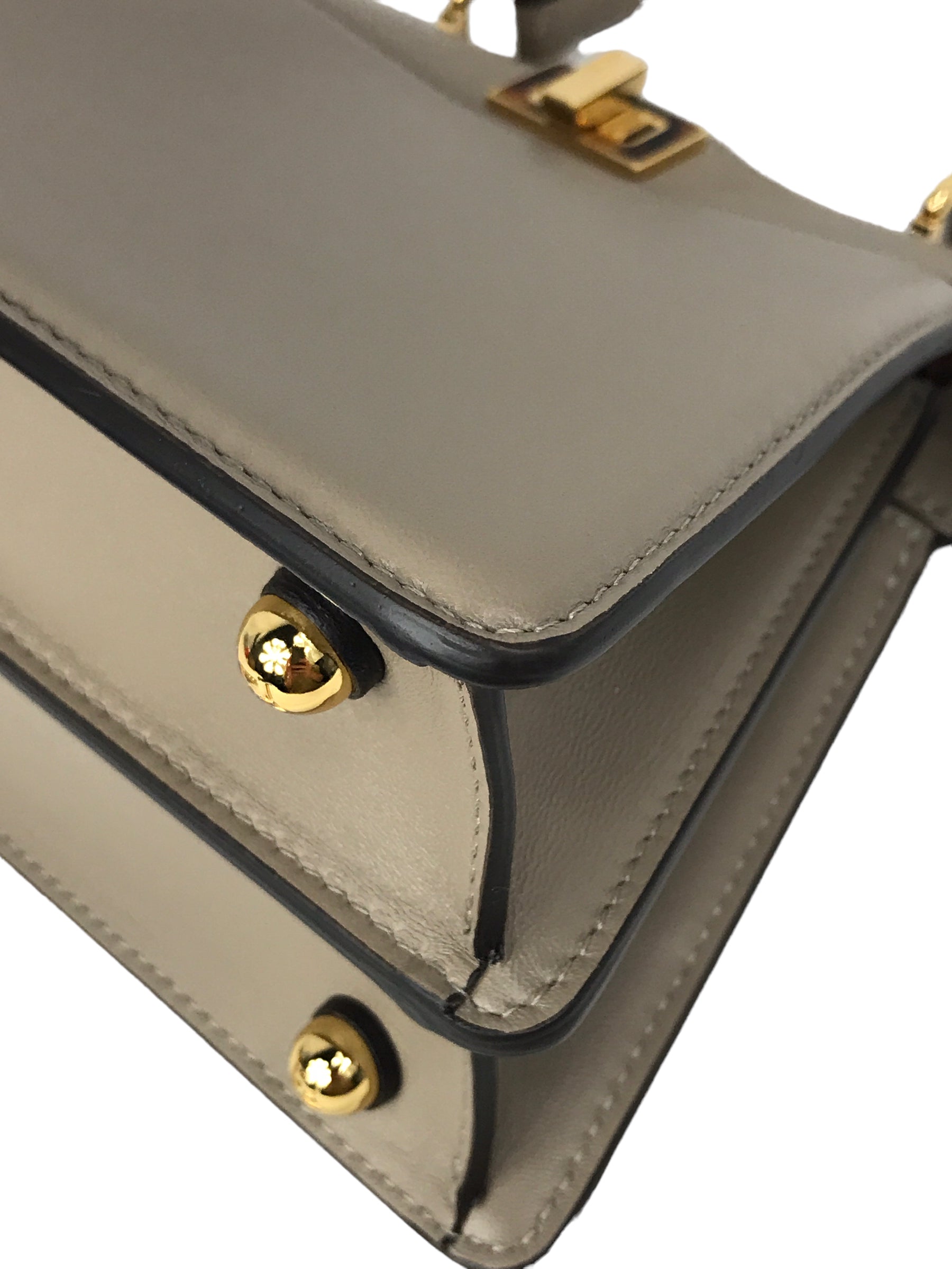 Dove Grey Nappa Leather Peakaboo ISeeU Petite Tortoiseshell-effect plexiglass Bag w/ GHW