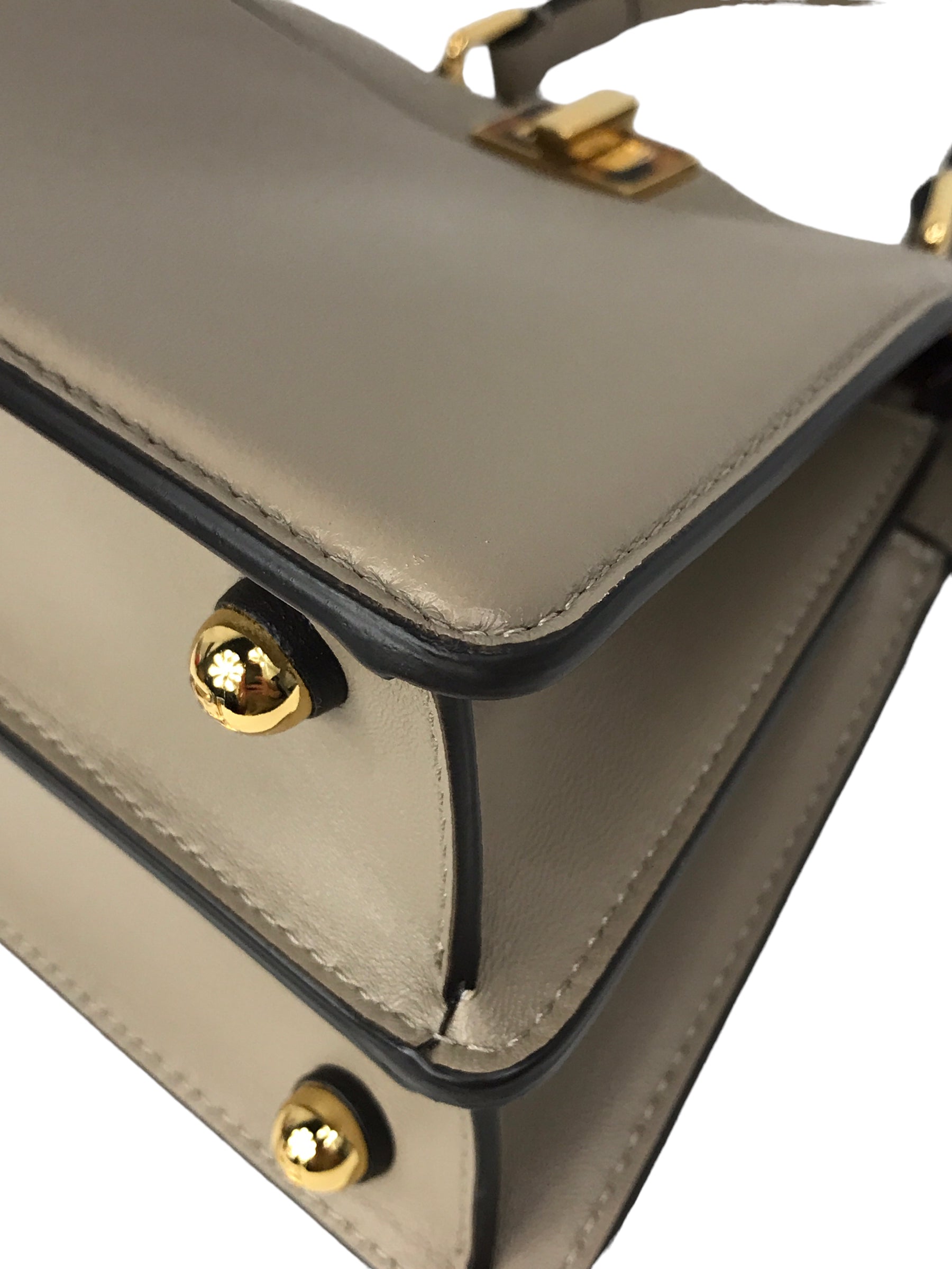 Dove Grey Nappa Leather Peakaboo ISeeU Petite Tortoiseshell-effect plexiglass Bag w/ GHW