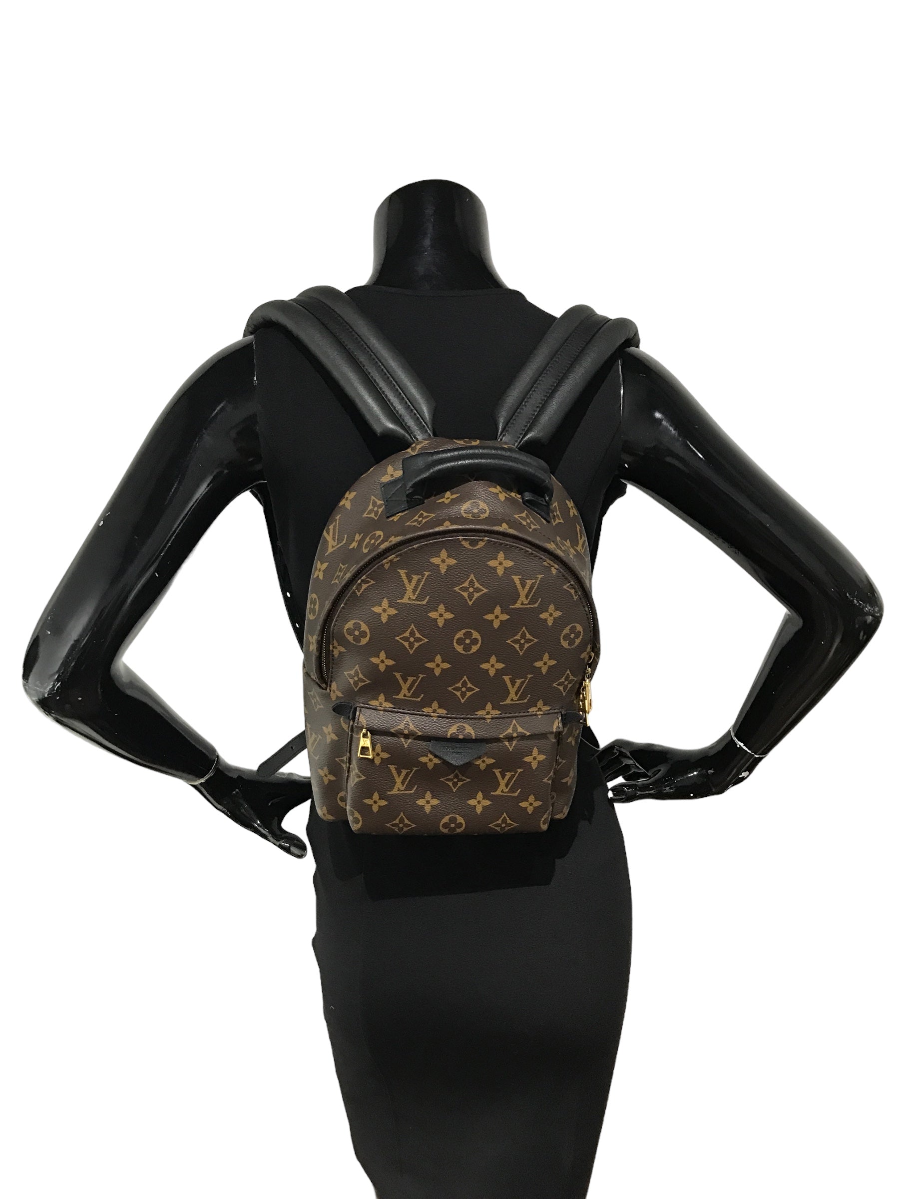 Monogram Coated Canvas Palm Springs PM Backpack w/GHW