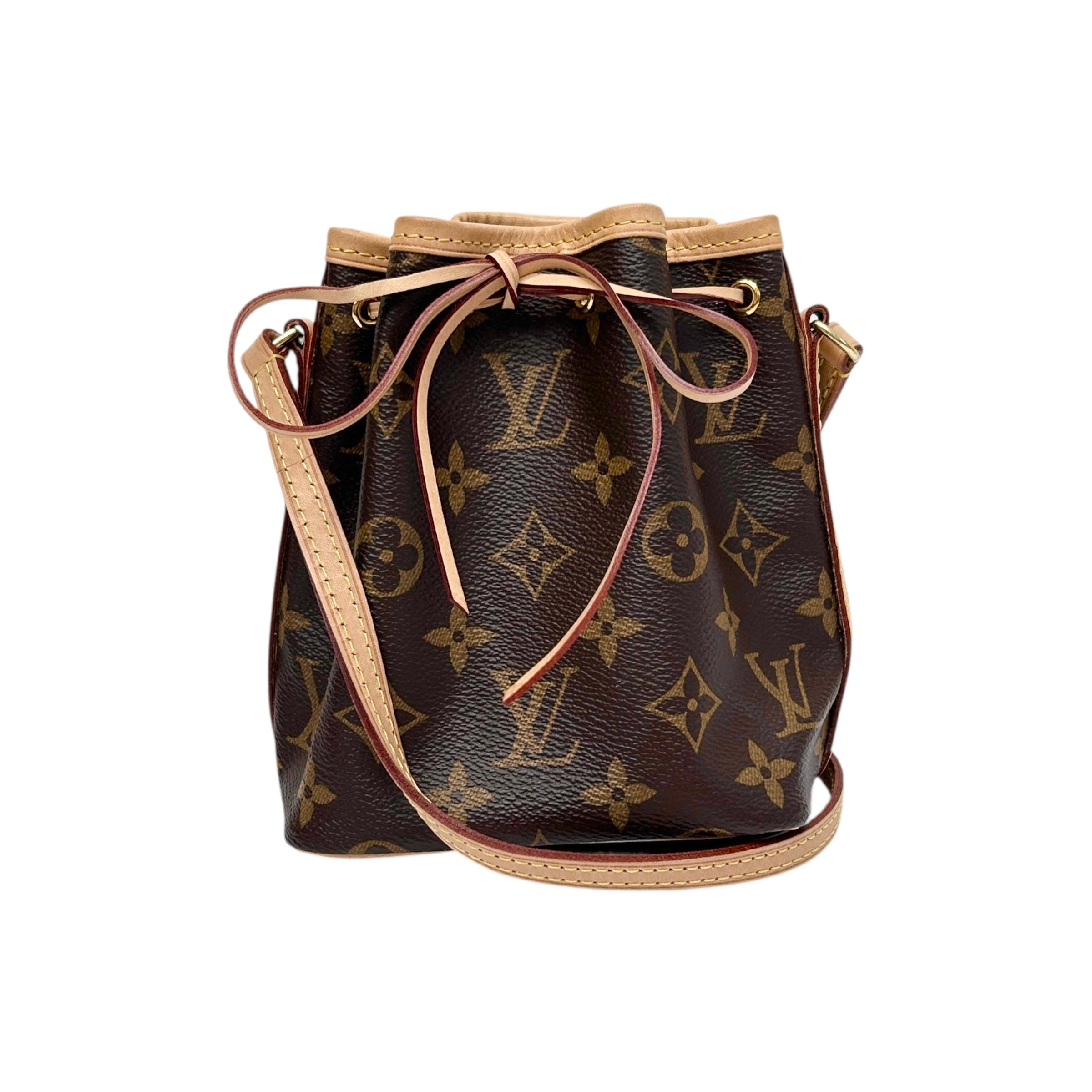 Monogram Canvas Nano Noe Bag