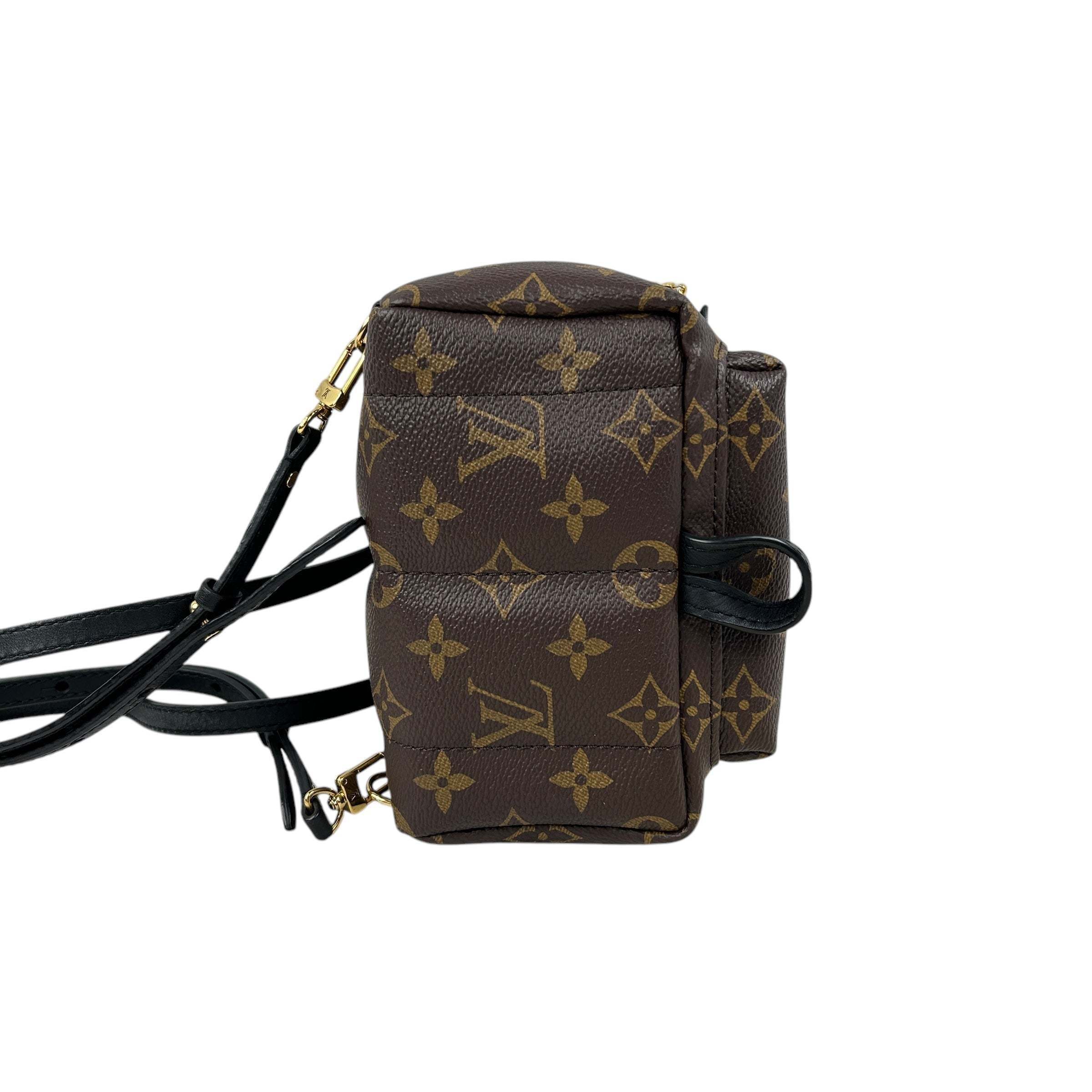 Monogram Coated Canvas Palm Springs Mini Backpack w/GHW