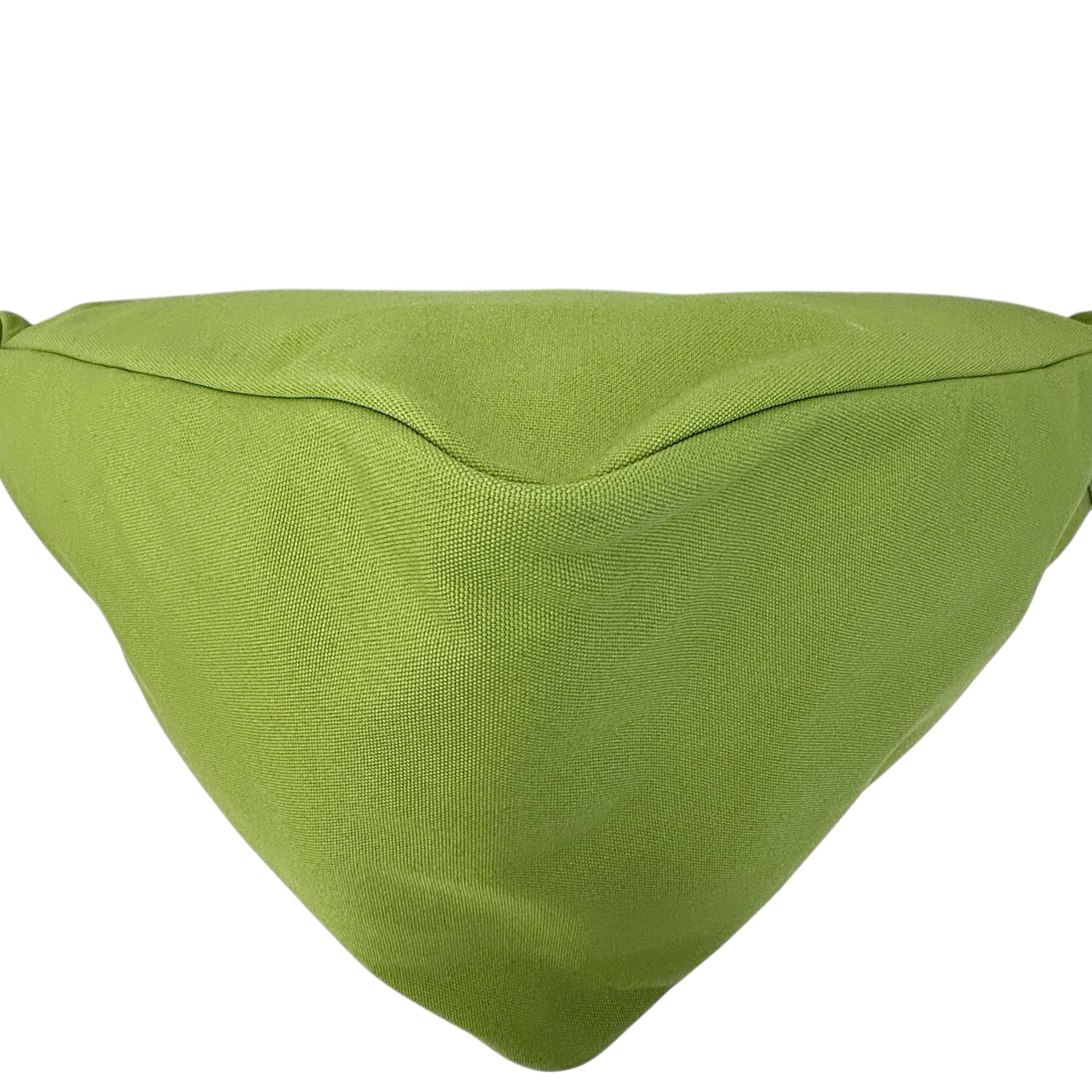 Green Canvas Triangle Logo Embossed Crossbody Bag w/SHW