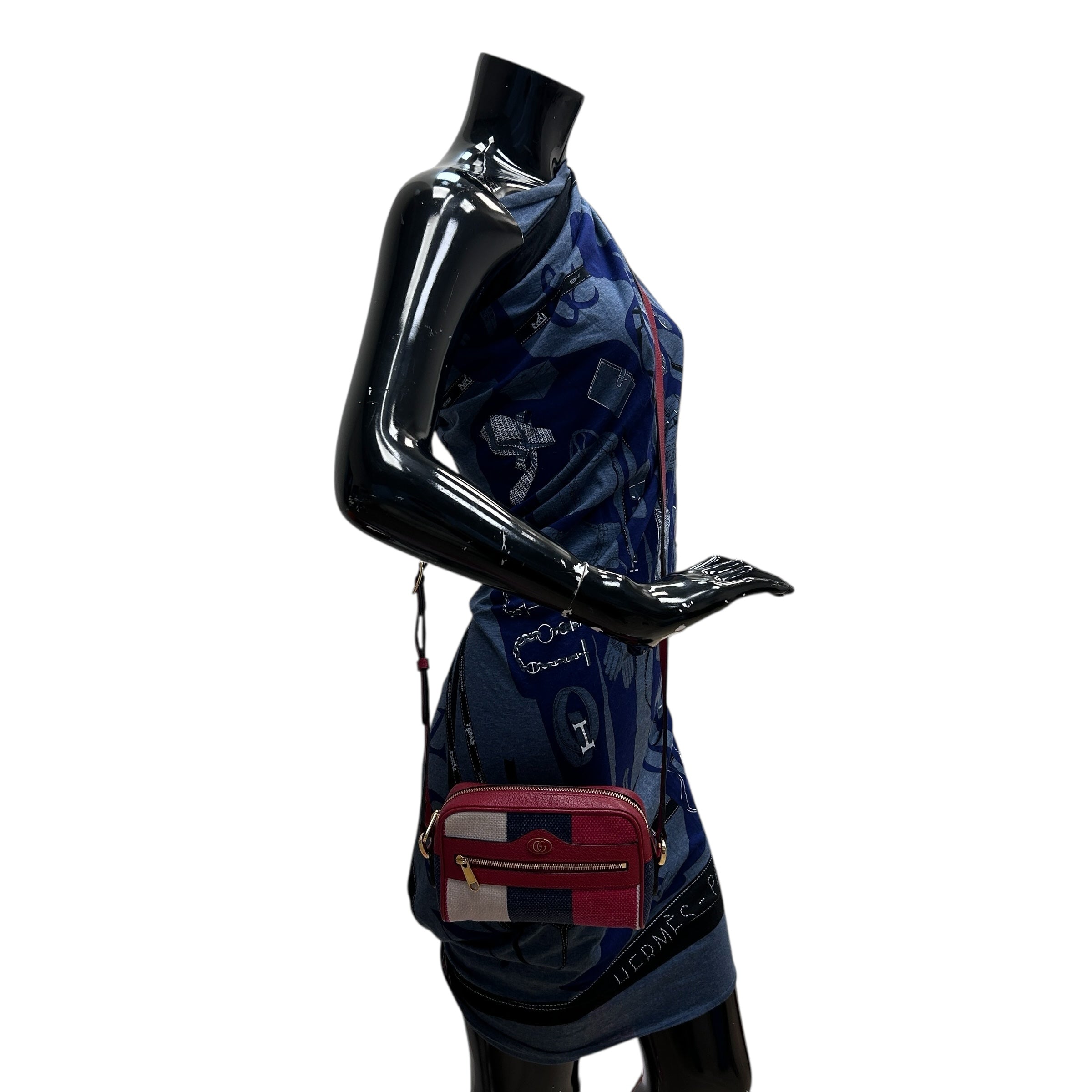 White/Blue/Red Stripe Canvas and Leather Mini Ophidia Crossbody Bag w/GHW